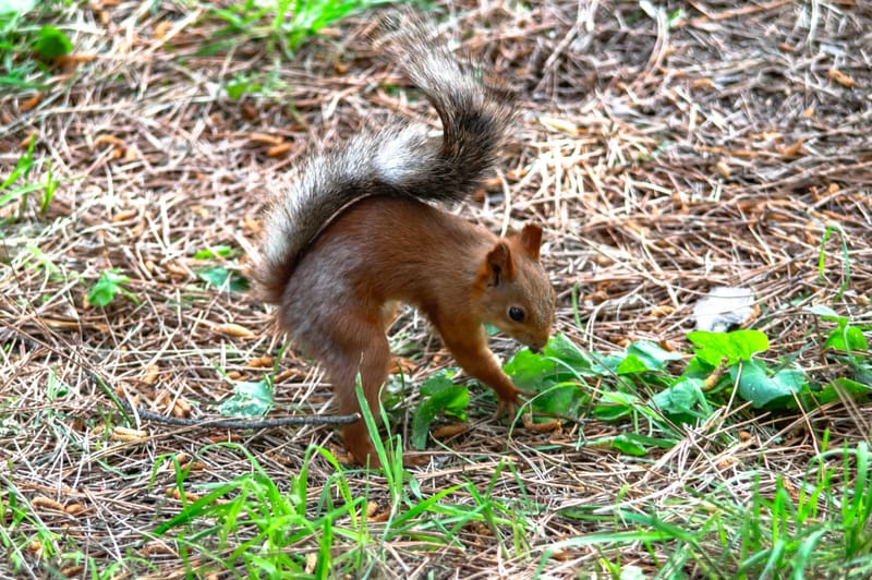 איך מתמודדים עם החששות של מסגרת חדשה
